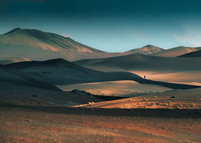 Dune 3