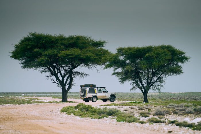 Car driving through the Kalahari