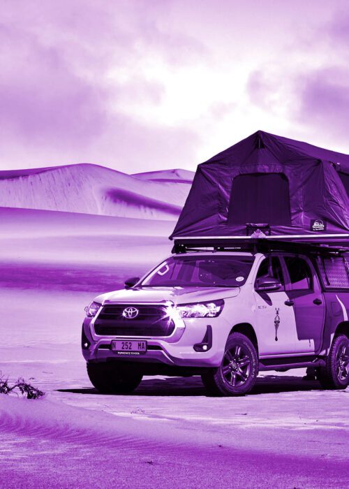Daosa Tours