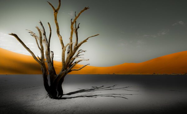 Deadvlei