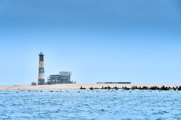 Lighthouse and seals in the ocean